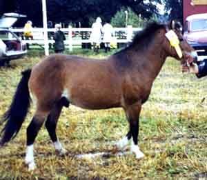 Rabono 193