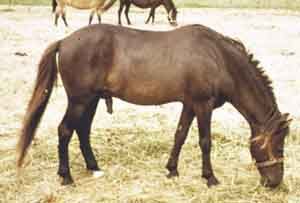 Rollo 143