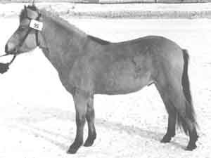 Ullrik 168