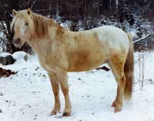 Donald S 257