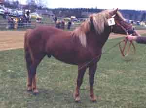 Gurry 272