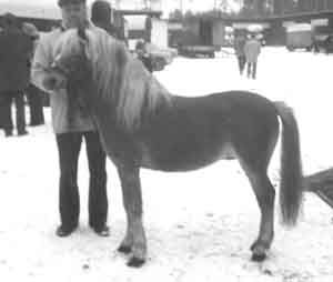 Svensson 241
