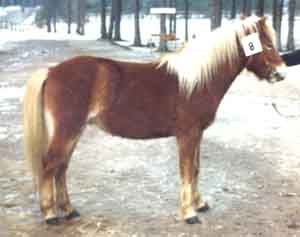 Jakob Dubbe 319