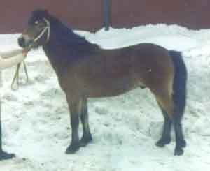 Redde 327