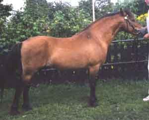 John Russ 422