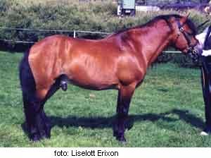 Loman 410