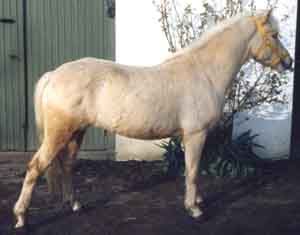 Nicholas G 423