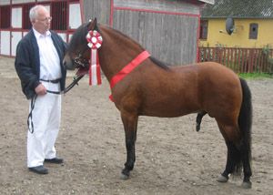 Django GRH 20