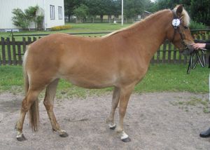 Rebecka KL 5539