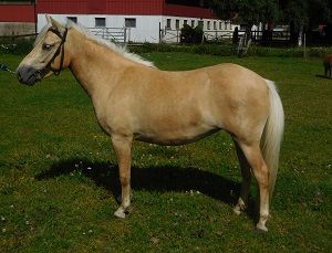 Uganda KL 5841