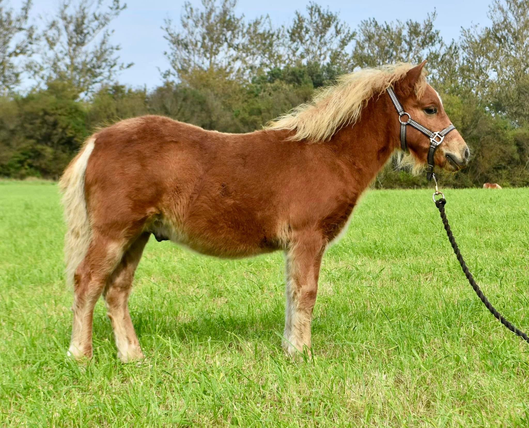 IMG_9187