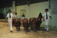 2000o