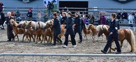 IMG_4638