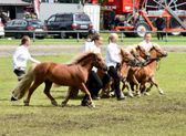 IMG_4678