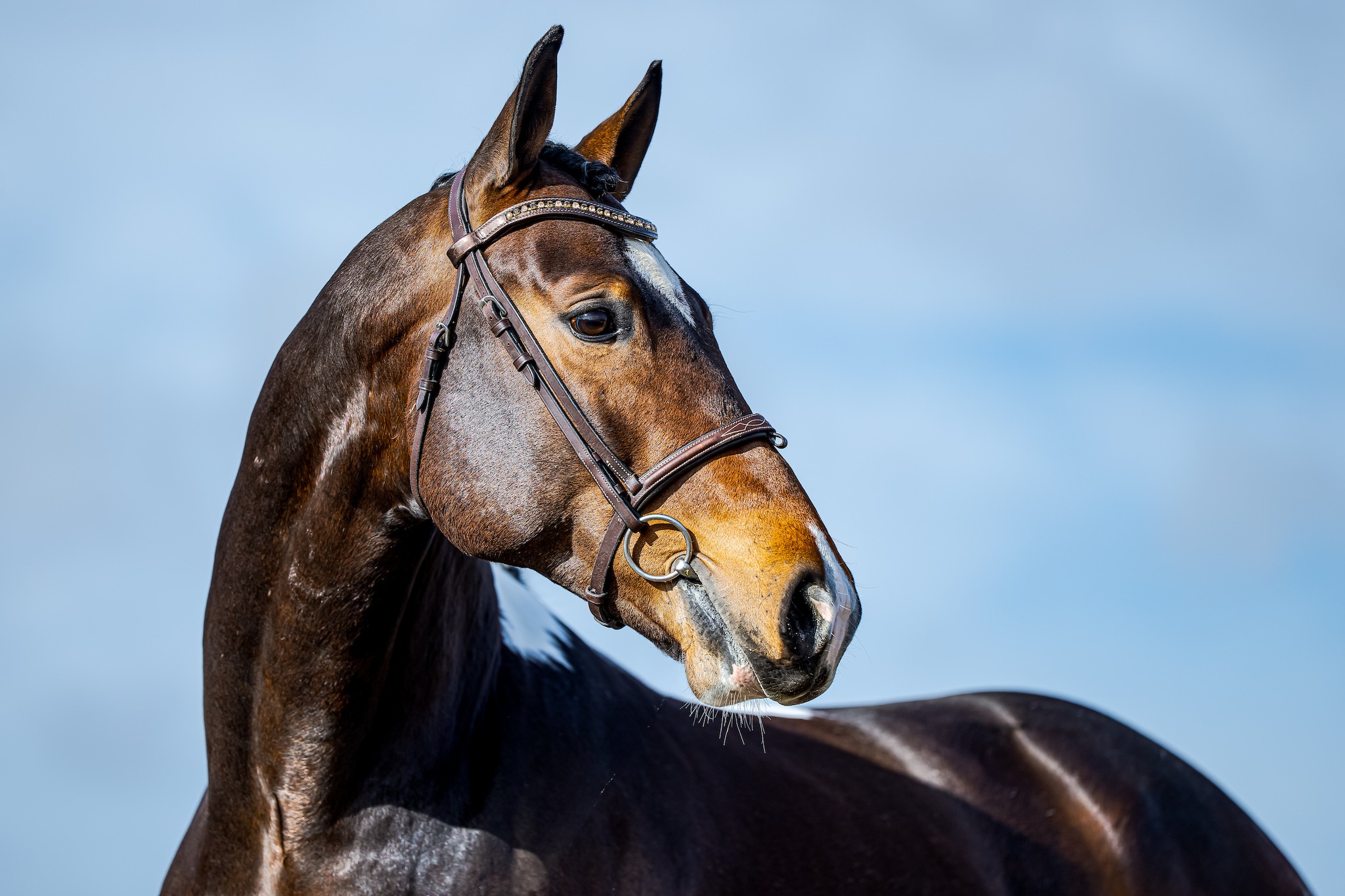 490715460_122116751576820460_819113377094071881_n