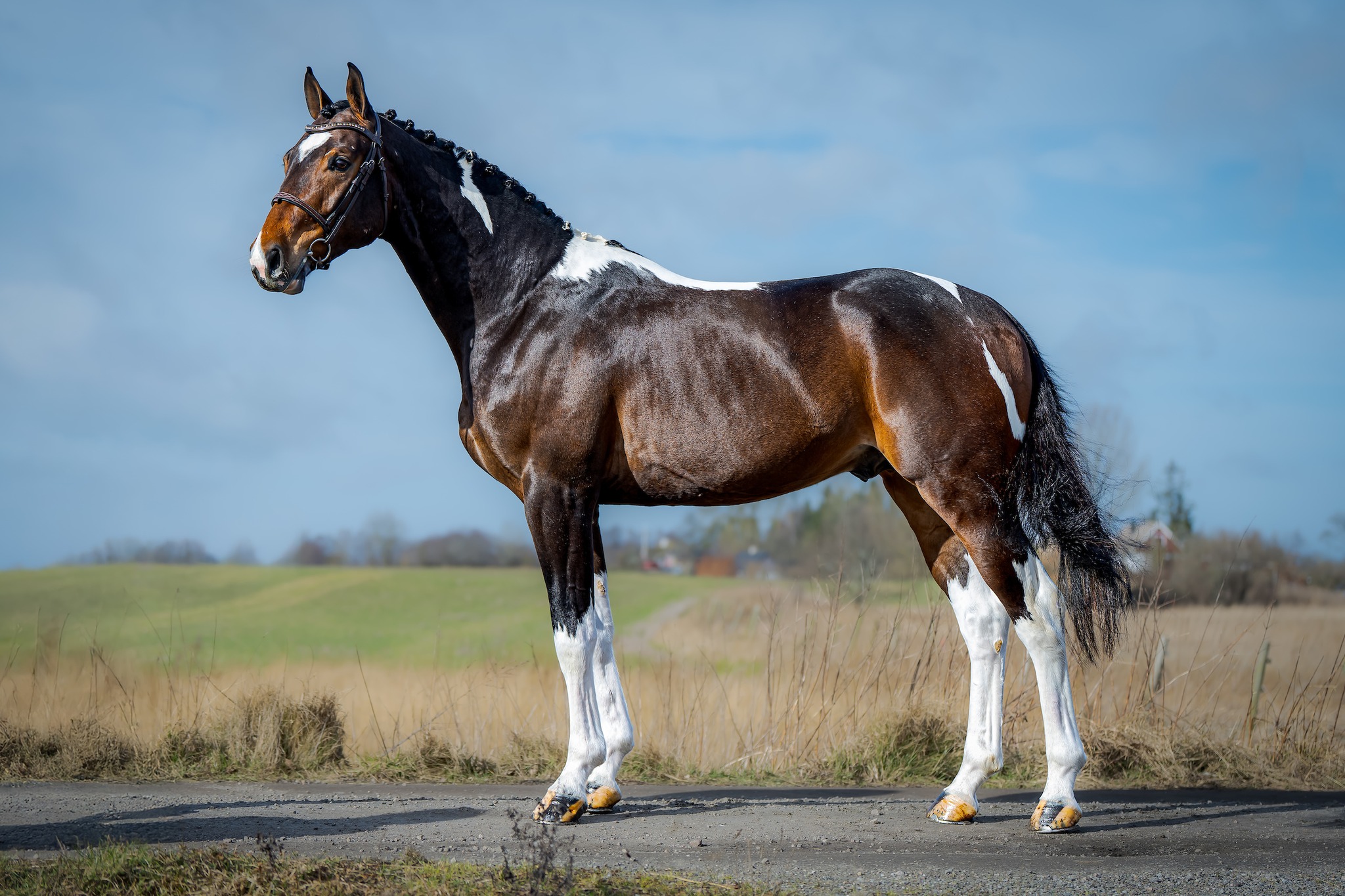 490885387_122116751510820460_6072691165356972696_n