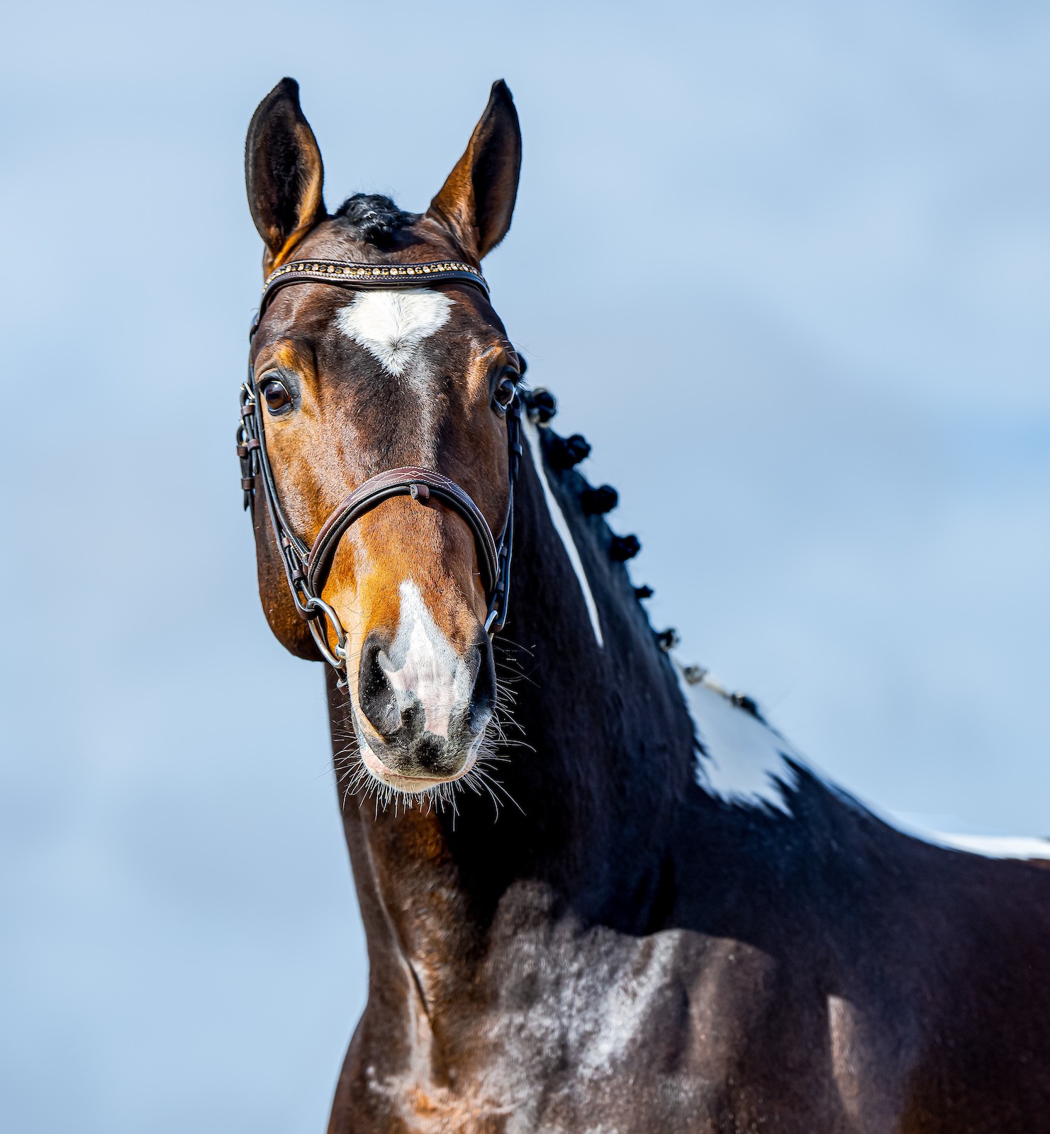 491406419_122116751444820460_3842692750657468655_n