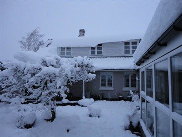 28/11-2010 Alt er hvidt i Blemmelyng. En dyne af sne har lagt sig overalt og sneen drysser som pudder fra himlen.

Penny slæber tonsvis af sne med ind i pelsen, hver gang hun har været ude.... Og det er hylende morsomt at lege i sneen... hele tiden!!!! NÅ men der er bestilt tid ved frisøren i den nærmeste fremtid.

Der er en del mus i stalden og Puk, Perle, Sara og  Penny deles om at jagte dem. Og det lykkedes også kattene at tage nogle, for der ligger døde mus hver morgen... Bortset fra det, så ligger kattene det meste af døgnet indendøre.... OG sniver!!! (bornholmsk og betyder sover...)

Uldtotterne har det fint i sneen med deres kæmpe uldtæpper.
 
Magnús har set sne for første gang... Det var meget sjovt. Han kunne næsten ikke gå i det...

Trods sneen bliver det til enkelte rideture. Det er svært at gøre det helt store, da det er mørkt når jeg tager afsted om morgenen og tusmørke når jeg kommer hjem. 

På øen er der væltet en del træer, man taler om mindst 200 store træer. Jorden er stadig meget meget våd og den store belastning sneen giver træerne, har bevirket at de bare vælter for et godt ord. Selv har vi mistet vores lille opstammede lærk.
Ikke den største katastrofe... men når man i tv efter død og ødelæggelse i resten af verden kan fortælle, at der ikke er kælke nok i Danmark, såeh.......... Det sætter det hele lidt i perspektiv!!!!

Bortset fra at vi heller ikke har nogen kælk... Så har vi det fint!!!!
