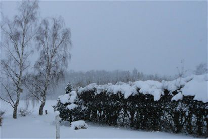 30/11-2010 Ja jeg ved snart ikke, hvad jeg skal sige.... men det er ikke et år siden at jeg sad i samme situation... Sneet inde på anden dag i rap...

Der var mange andre ting jeg kunne finde på at bruge ferie/afspadsering til. 

Vi bor åbenbart meget udsat... eller også er det fordi vi simpelthen har valgt at bo helt perfekt!!!

I eftermiddags kunne vi lige luske til byen efter forsyninger, men allerede på hjemvejen var vejen føget til igen.

Der er heldigvis ingen grund til at risikere liv, lemmer og bil ved at skulle køre i dette hersens vejr.

Og alle ønsker jo en hvid jul - hvert år!!! 
