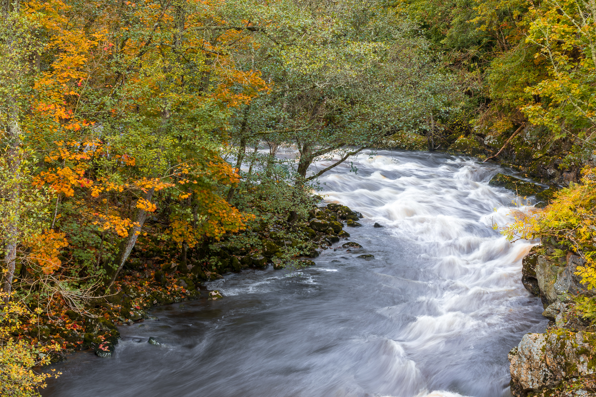 _X1A7948-HDR