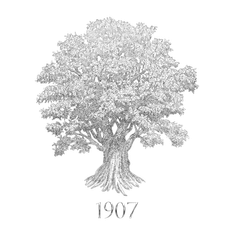 1907 Logo Silver no BG