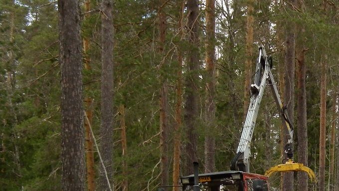 Tiippanan Jussi traktorilla keräsi risut ja polttopuut.
