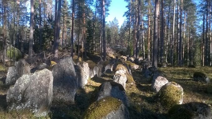Salpalinjan panssariesteet Sulkavan Vilkaharjulla siivouksen jälkeen. Pidämme muistomerkin paljastustilaisuuden/maanpuolustusjuhlan paikassa sunnuntaina 20.8.2017 klo 13.00