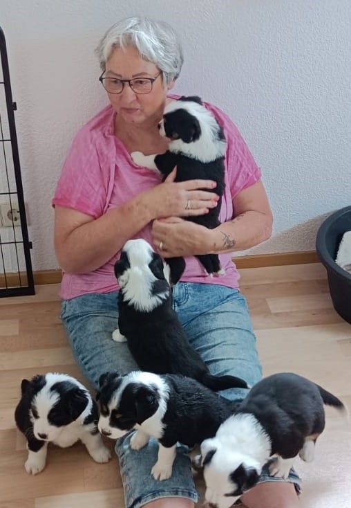 Es heißt bald Abschied nehmen. Eine wunderschöne Zeit mit den Welpen geht zu Ende.