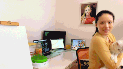 About_AmyCat_and_CatsCat