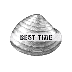 Best time Surfing Fuerteventura
