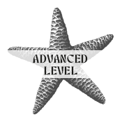 Advanced Surf Level