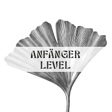 Anfänger Surf Level