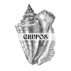 Gruppen Surfkurs