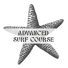 Fortgeschrittenen Surf Level