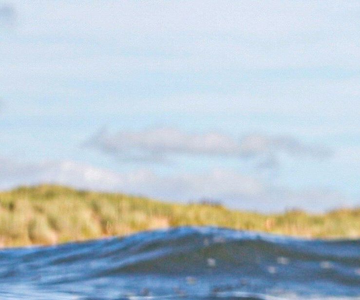 unsplash_BB8Qh80JxBU