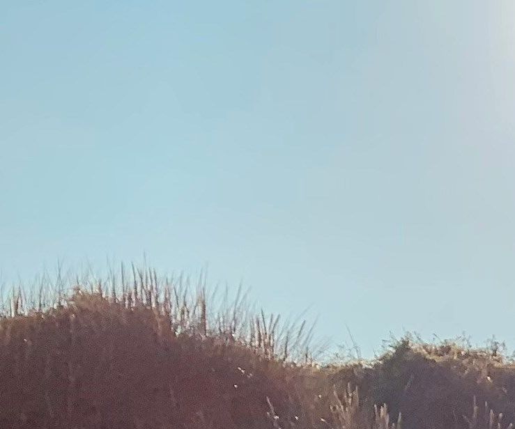 unsplash_u9S7ORO-7Fg