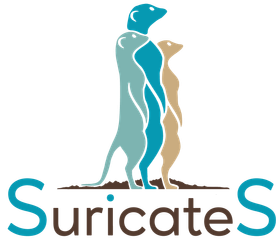 SuricateS nous transmettons, nous accopagnons, nous developpons