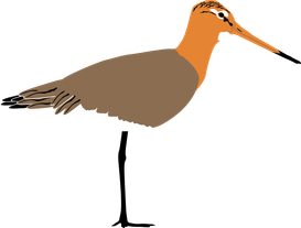 grutto