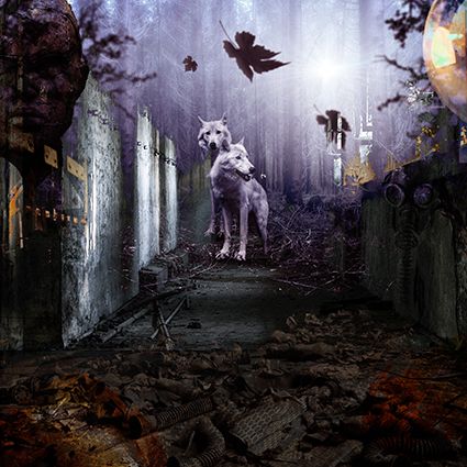 Work for Canis Lupus