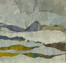 collage2