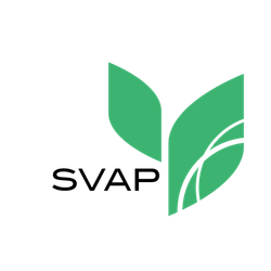 www.svap.nu