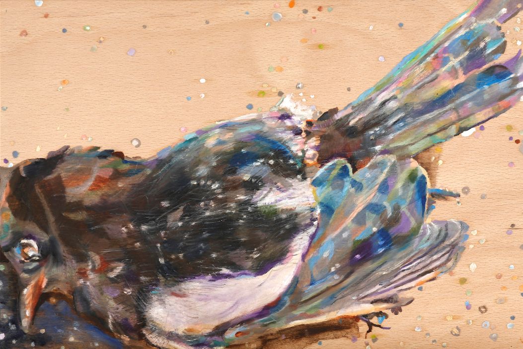 Elster |  magpie, 2017