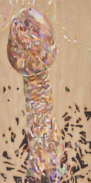 Pilz 15 (rußbrauner Riesenschirmling | 2024
