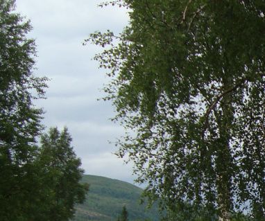 Campingområdet er på gress.