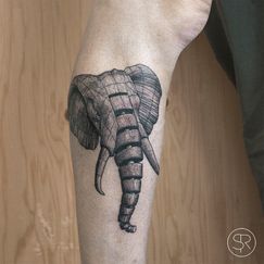 sven_rayen_geometric_elephant
