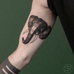 sven_rayen_geometric_elephant_2