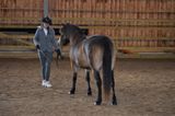 Young Handler 1