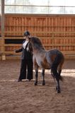 Young Handler 4