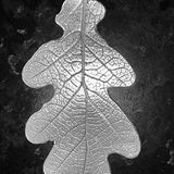 IMG_20200923_163430