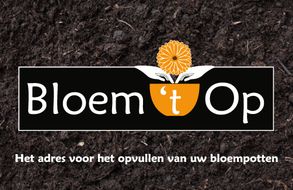 Bloem 't op
